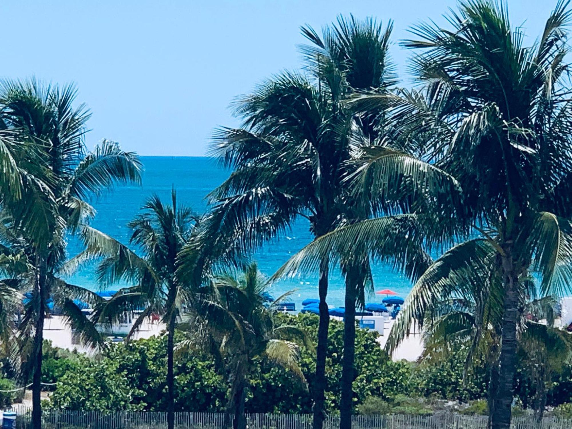 Beachfront Ocean Dr White Sand Paradise Sobe 311 ميامي بيتش المظهر الخارجي الصورة
